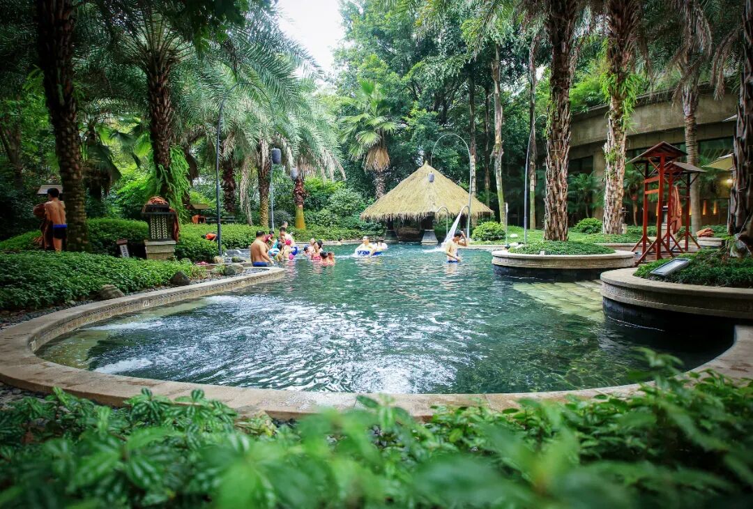 新岁登缙云：登出新气象 联动大发展